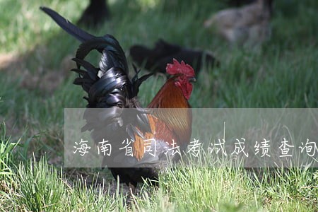 海南省司法考试成绩查询