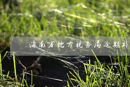 海南省地方税务局逾期补 海南省地方税务局逾期补