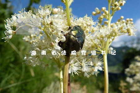 海南省法院党组书记