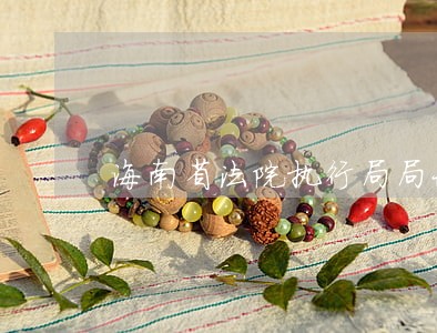 海南省法院执行局局长