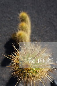 海南省离婚协议书模版 海南省离婚协议书模版