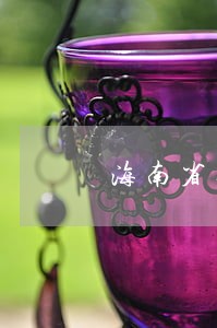 海南省逾期0申报 海南省逾期0申报