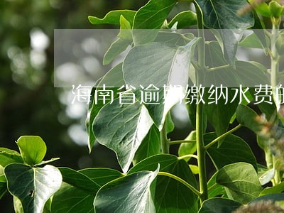 海南省逾期缴纳水费的规定 海南省逾期缴纳水费的规定