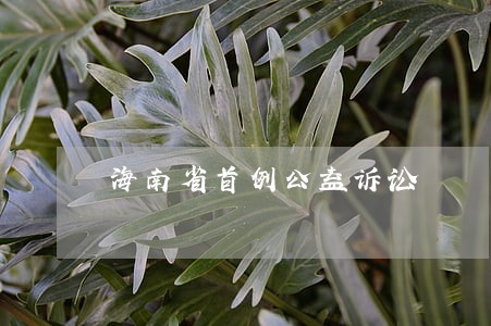 海南省首例公益诉讼 海南省首例公益诉讼