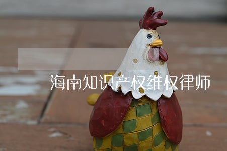 海南知识产权维权律师 海南知识产权维权律师