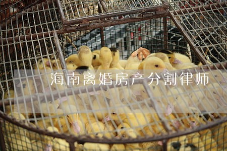 海南离婚房产分割律师 海南离婚房产分割律师