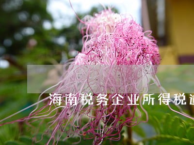 海南税务企业所得税逾期 海南税务企业所得税逾期