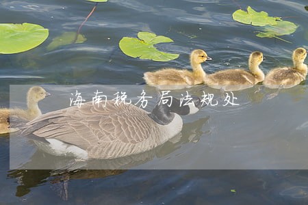 海南税务局法规处 海南税务局法规处