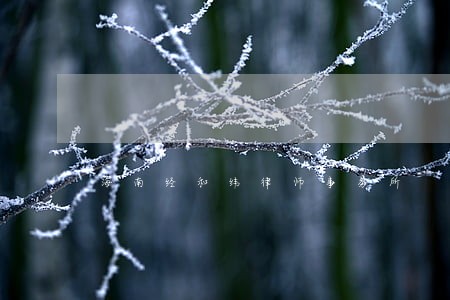 海南经和纬律师事务所