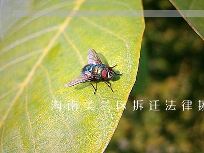 海南美兰区拆迁法律援助 海南美兰区拆迁法律援助