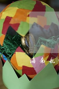 海南航空与中煤郑州能源诉讼 海南航空与中煤郑州能源诉讼