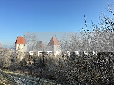 海南花呗逾期后果