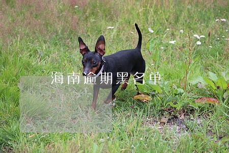 海南逾期黑名单 海南逾期黑名单