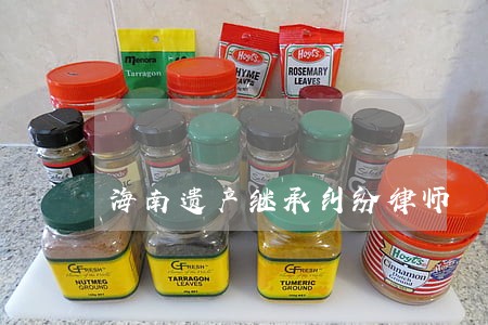 海南遗产继承纠纷律师 海南遗产继承纠纷律师