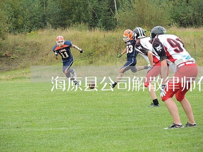 海原县公司解散律师在线免费咨询