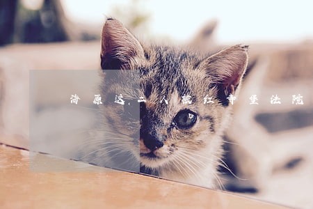 海原这二人被红寺堡法院公布 海原这二人被红寺堡法院公布