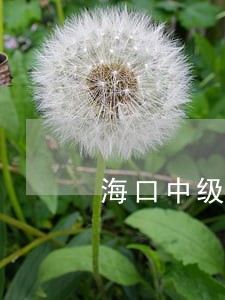 海口中级人民法院电话是多少 海口中级人民法院电话是多少