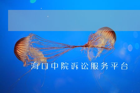 海口中院诉讼服务平台 海口中院诉讼服务平台
