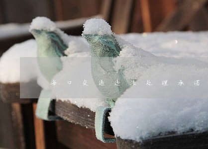 海口交通违法处理承诺书 海口交通违法处理承诺书
