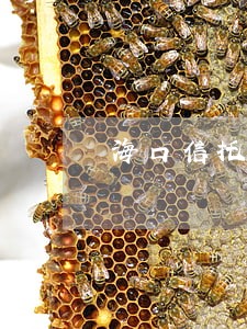 海口信托律师 海口信托律师
