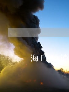 海口倾销补贴法律咨询热线 海口倾销补贴法律咨询热线