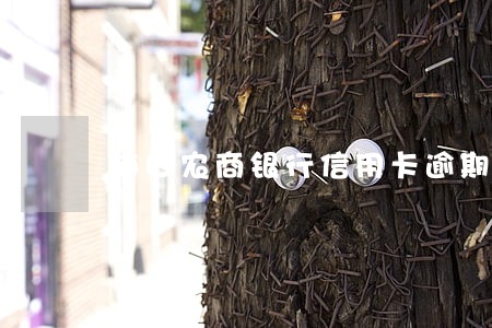 海口农商银行信用卡逾期还款
