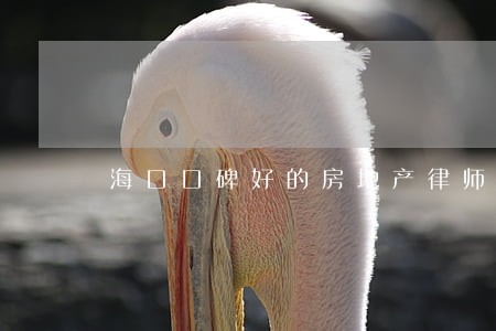 海口口碑好的房地产律师介绍 海口口碑好的房地产律师介绍
