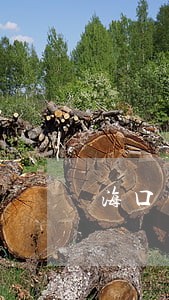 海口司法局咨询电话 海口司法局咨询电话