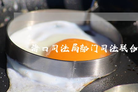 海口司法局部门司法联合办