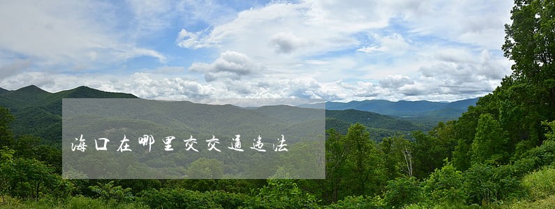 海口在哪里交交通违法