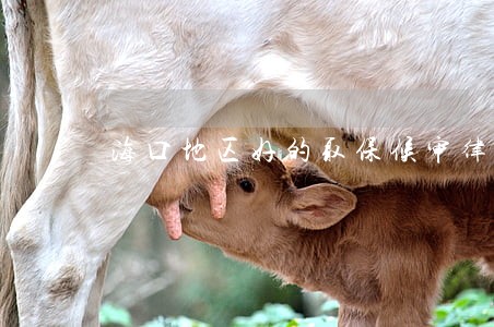 海口地区好的取保候审律师排名 海口地区好的取保候审律师排名