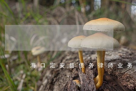 海口定安县债务律师业务 海口定安县债务律师业务