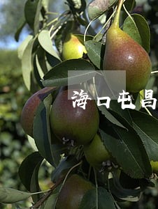 海口屯昌县债务律师费用标准 海口屯昌县债务律师费用标准