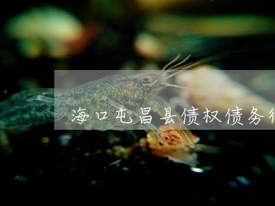 海口屯昌县债权债务律师推荐 海口屯昌县债权债务律师推荐