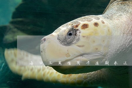 海口工商信用卡逾期未还 海口工商信用卡逾期未还