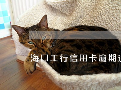 海口工行信用卡逾期说明