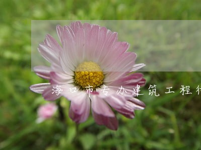 海口市专办建筑工程律师服务优先 海口市专办建筑工程律师服务优先