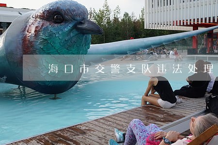 海口市交警支队违法处理大队
