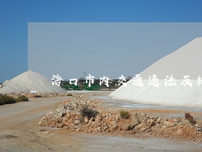 海口市内交通违法及校车安全问题 海口市内交通违法及校车安全问题