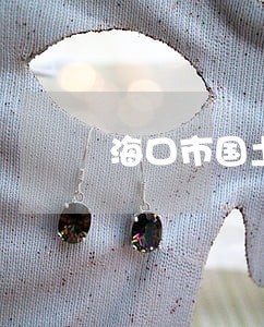 海口市国土局法规处