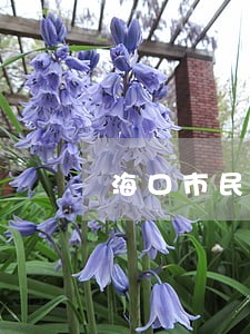 海口市民法律咨询 海口市民法律咨询