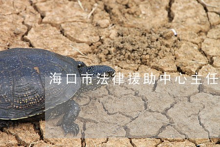 海口市法律援助中心主任高秋萍 海口市法律援助中心主任高秋萍
