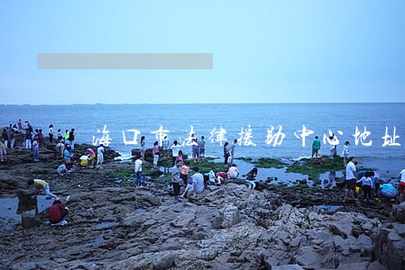 海口市法律援助中心地址 海口市法律援助中心地址
