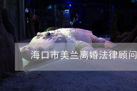 海口市美兰离婚法律顾问 海口市美兰离婚法律顾问