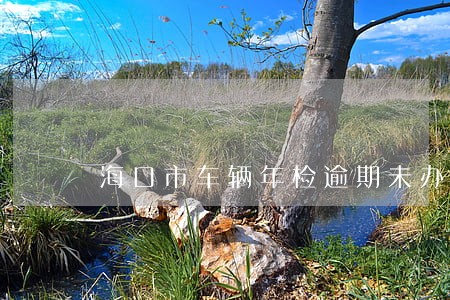 海口市车辆年检逾期未办理 海口市车辆年检逾期未办理