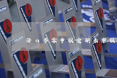 海口市零申报逾期未申报 海口市零申报逾期未申报