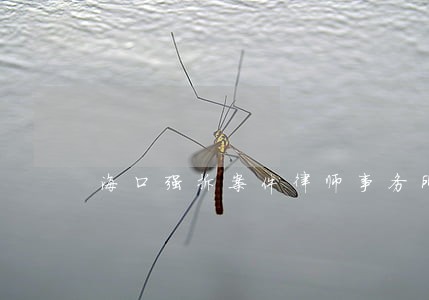 海口强拆案件律师事务所 海口强拆案件律师事务所