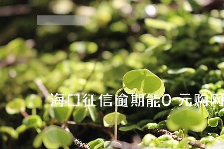 海口征信逾期能0元购网约车吗 海口征信逾期能0元购网约车吗