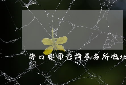 海口律师咨询事务所地址 海口律师咨询事务所地址