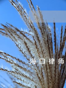 海口律师离婚律师 海口律师离婚律师